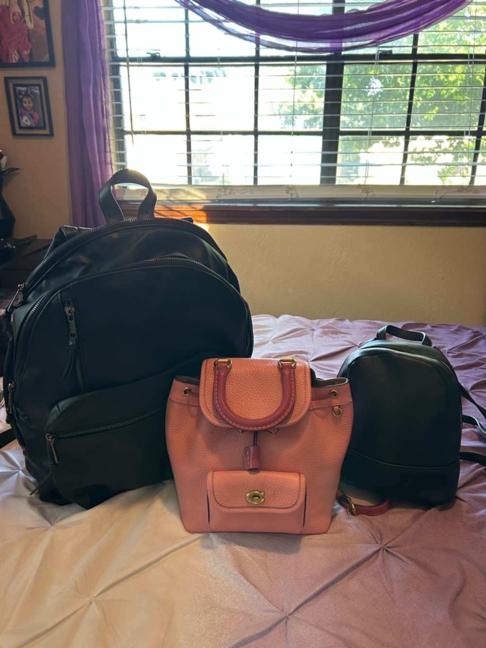 Backpack Bundle including Pink Coach